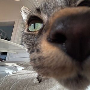 Meet your Posher, Heidi